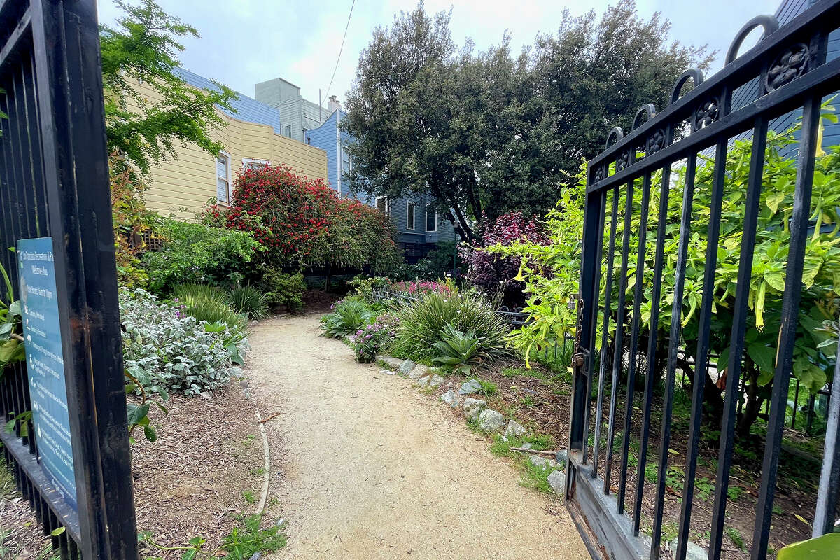 SF has 37 mini parks. These are the ones worth visiting.