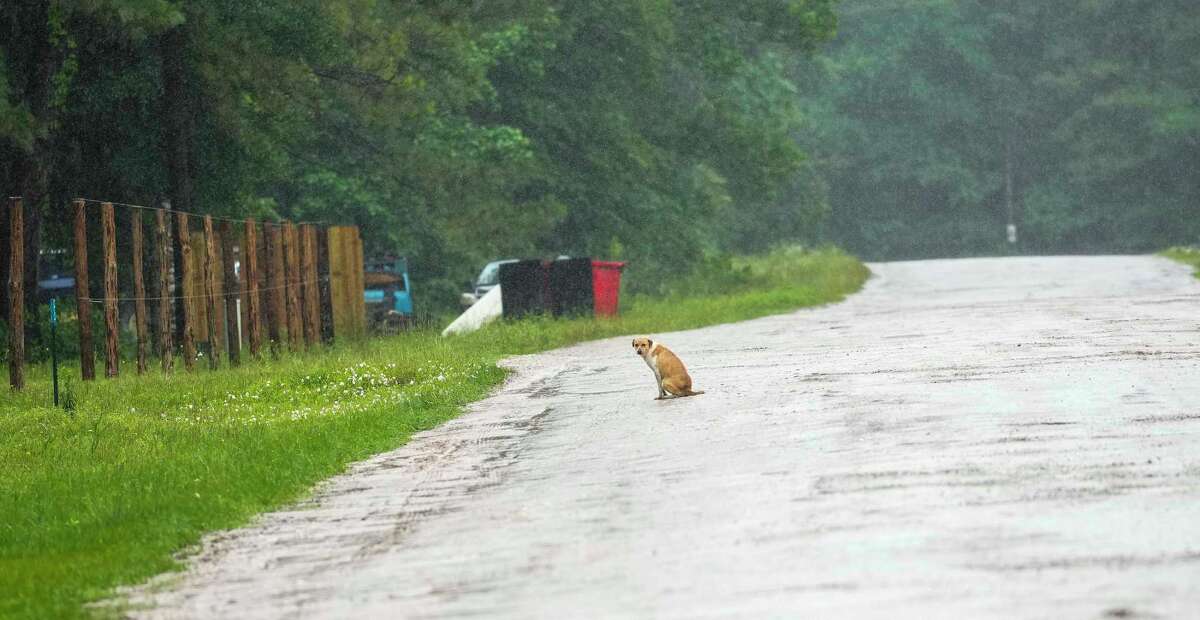 San Jacinto County’s Trails End remains haven after mass shooting