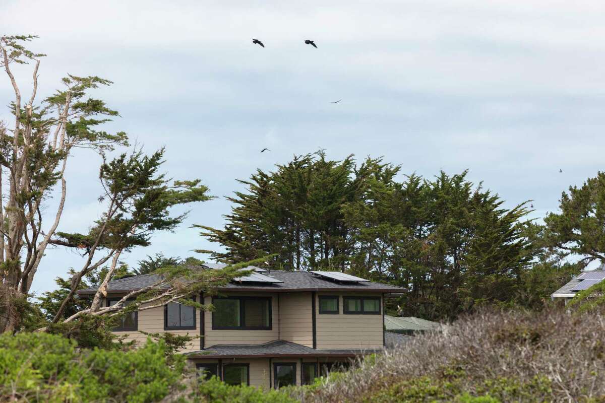 Birds fly over the coast in Half Moon Bay on Wednesday. Critics of the wild-bird feeding ban proposal say it’s a major and unnecessary overreach.