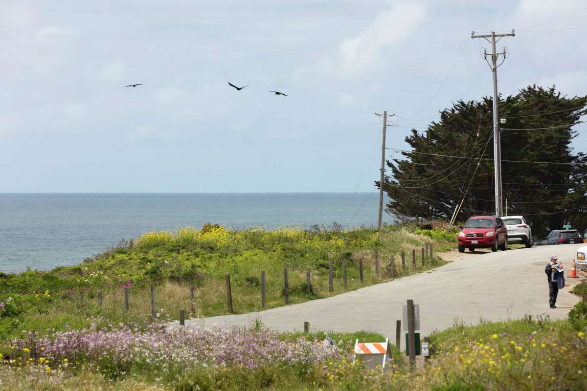 Birds fly along the coast in Half Moon Bay. The city has a draft ordinance that would prohibit people from purposely feeding wildlife on public or private property, including leaving garbage, pet food or other foods that can lead to aggressive behavior toward humans and other animals. 