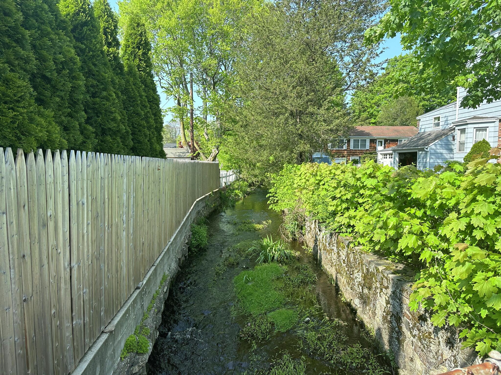 Greenwich tells 'upset' homeowners to try DIY flood prevention - Vimarsana News