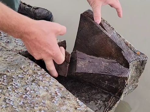 Stack of WWII-era Nazi cargo washes up on Texas beaches - Vimarsana News