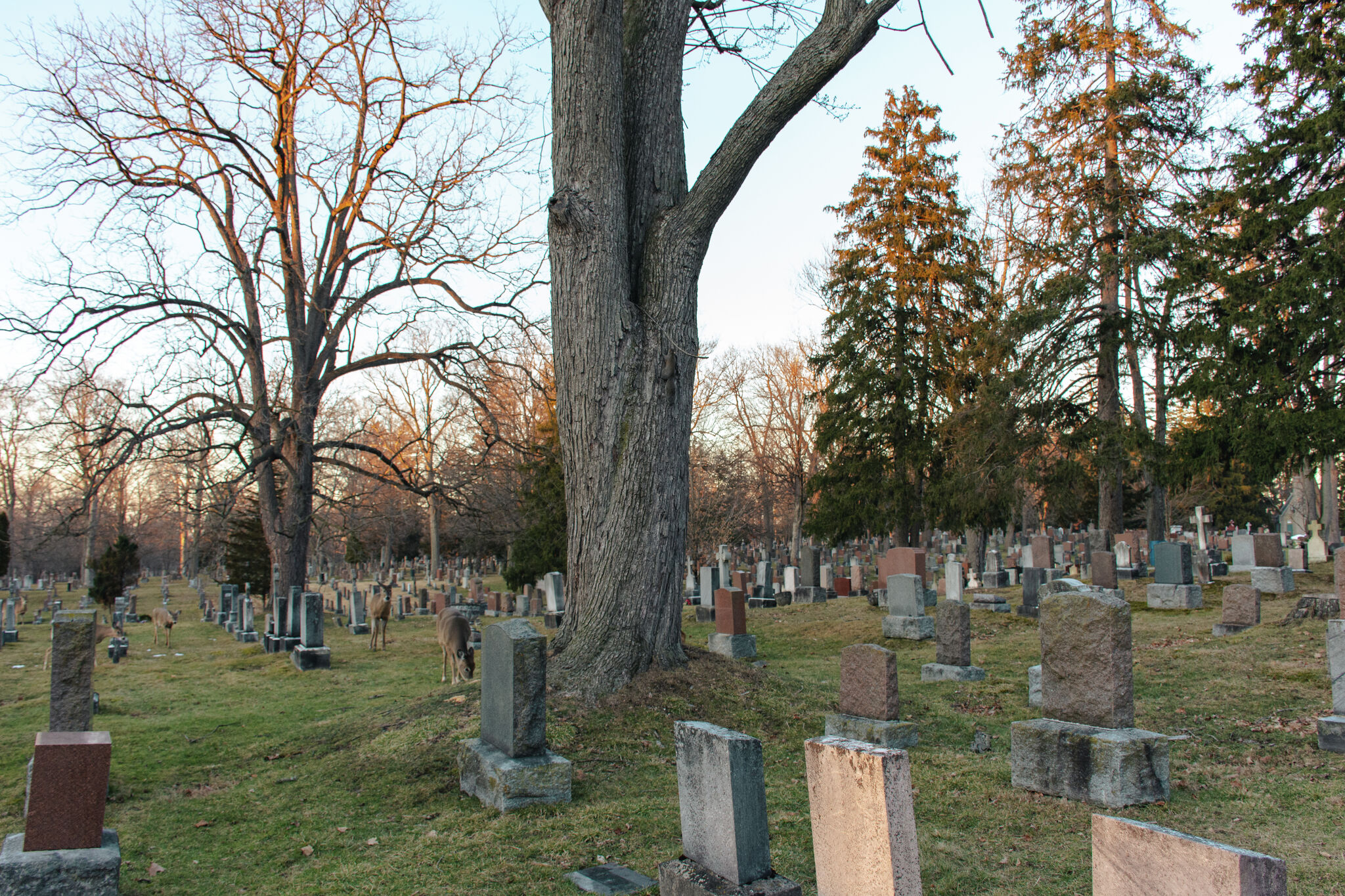 County cemetery boards continue organization effort