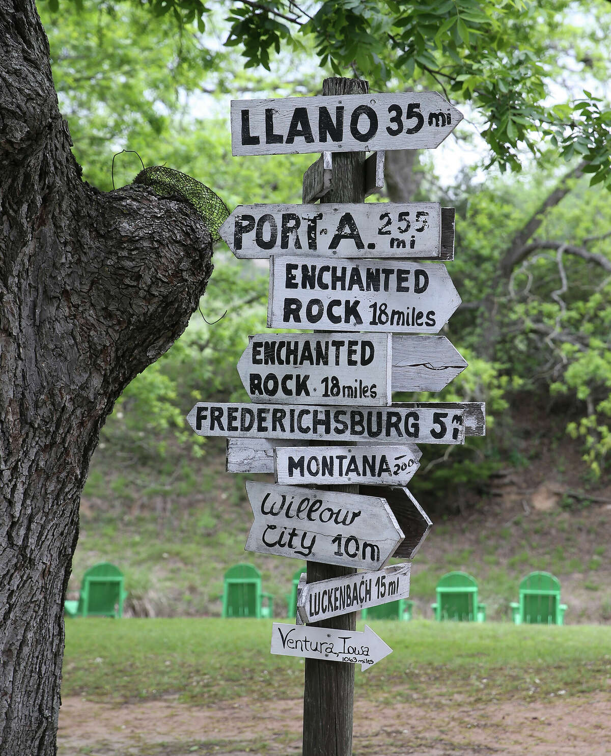 Fredericksburg's 'Dino Diner' attracts locals and tourists