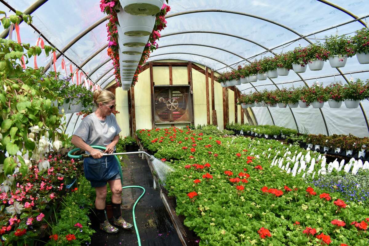 Business owners including Sharla Hicks of Shore Nursery in Evart are getting ready for shoppers ahead of Mother’s Day weekend.