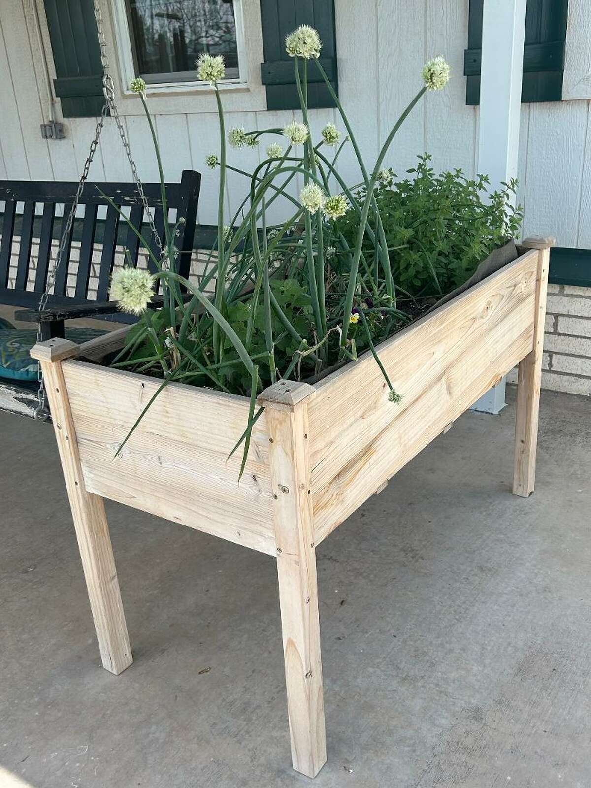 Raised beds are a great option for many reasons. 