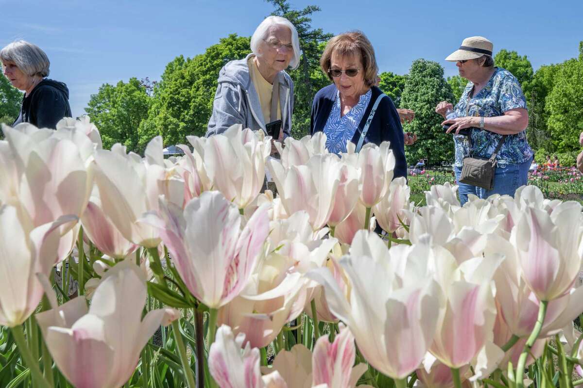 Math teacher Olivia Owens crowned Albany's 2023 Tulip Queen