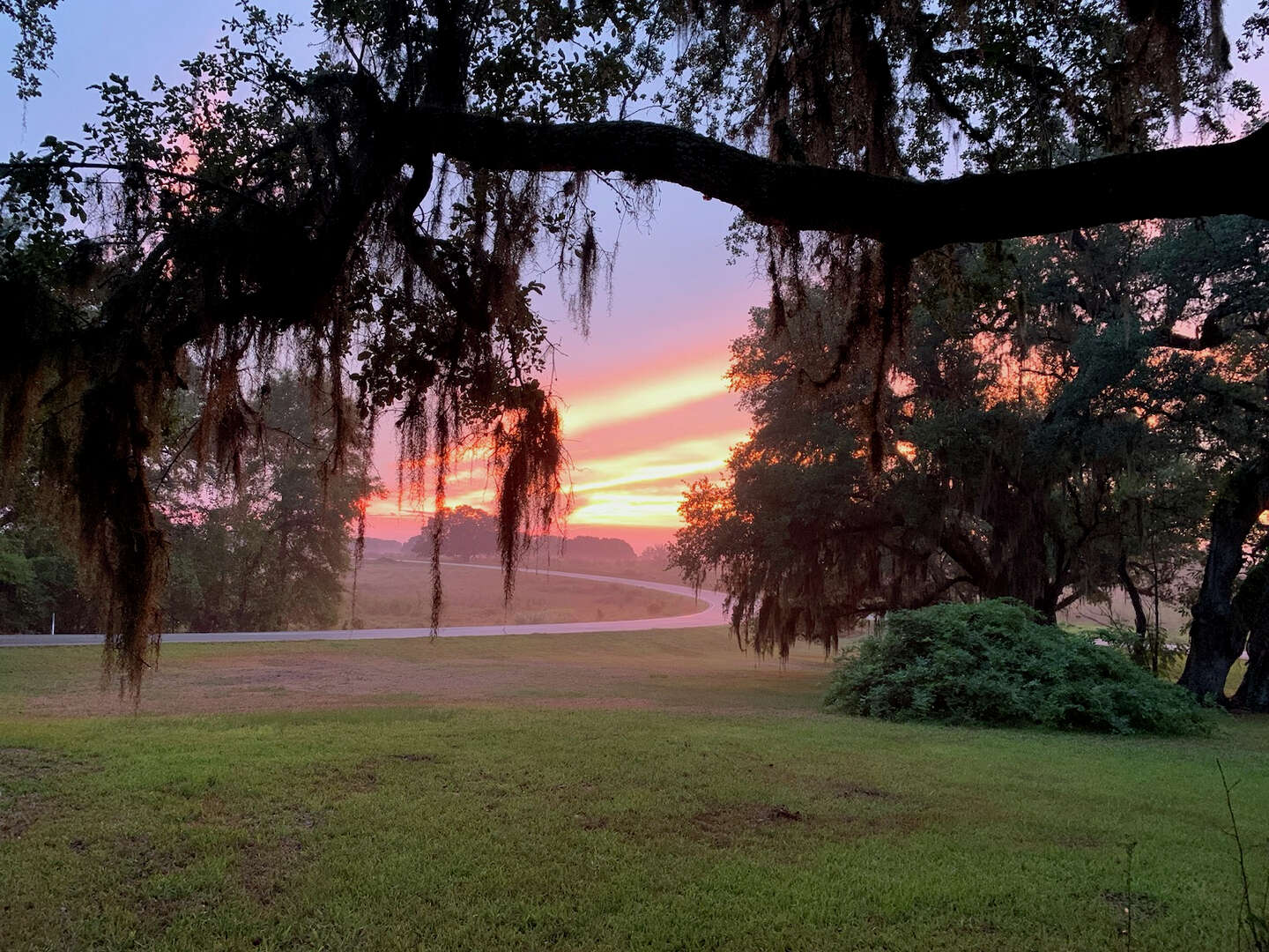 Discover Brazos Bend State Park, a Texas treasure in Houston