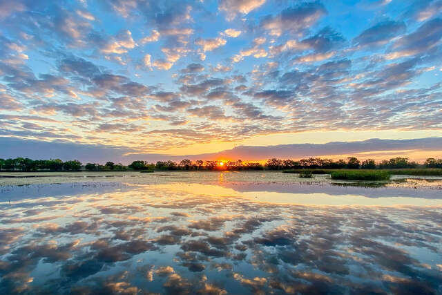 Discover Brazos Bend State Park, a Texas treasure in Houston