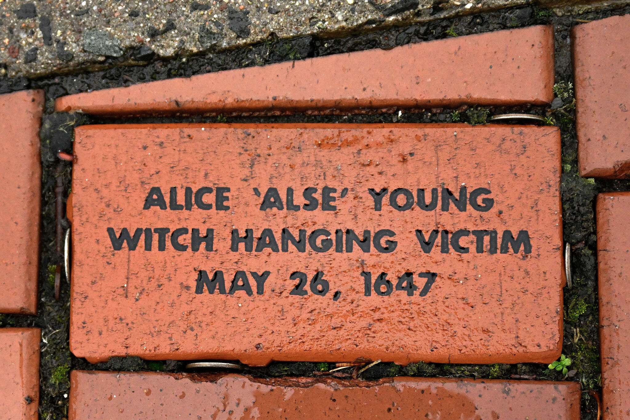 Opinion: CT's dark history of witch hunts - Vimarsana News
