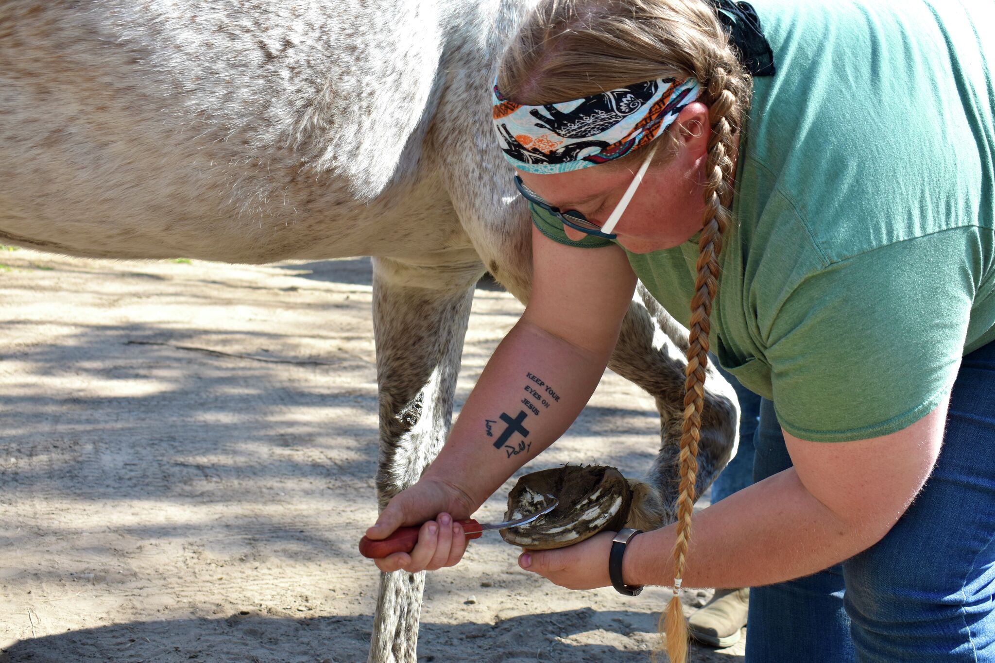 West Michigan farrier Jess Mackenzie helps animals across region - Vimarsana News