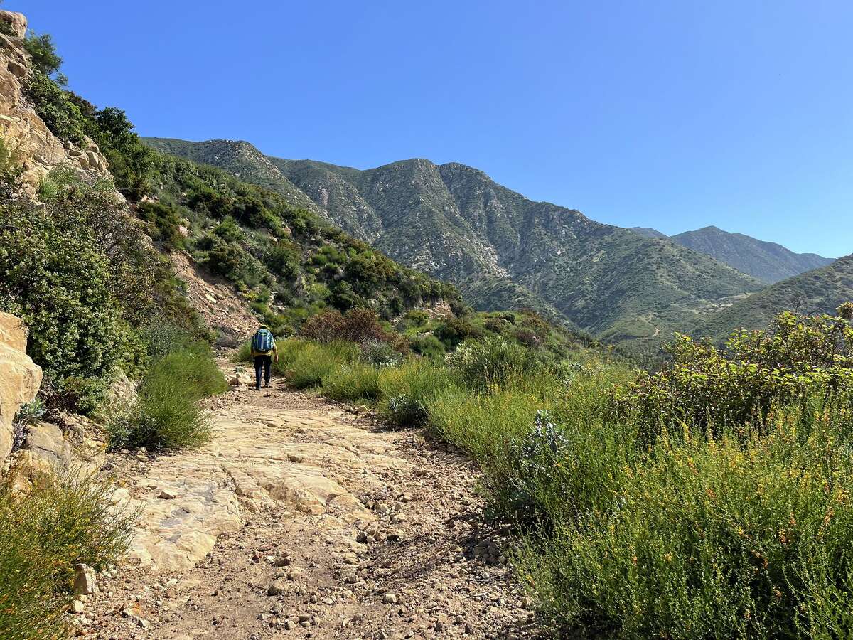 California hiker airlifted to hospital after rattlesnake bite