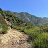 A view of Romero Canyon Trail near Santa Barbara, where a 26-year-old woman was bitten by a rattlesnake. 