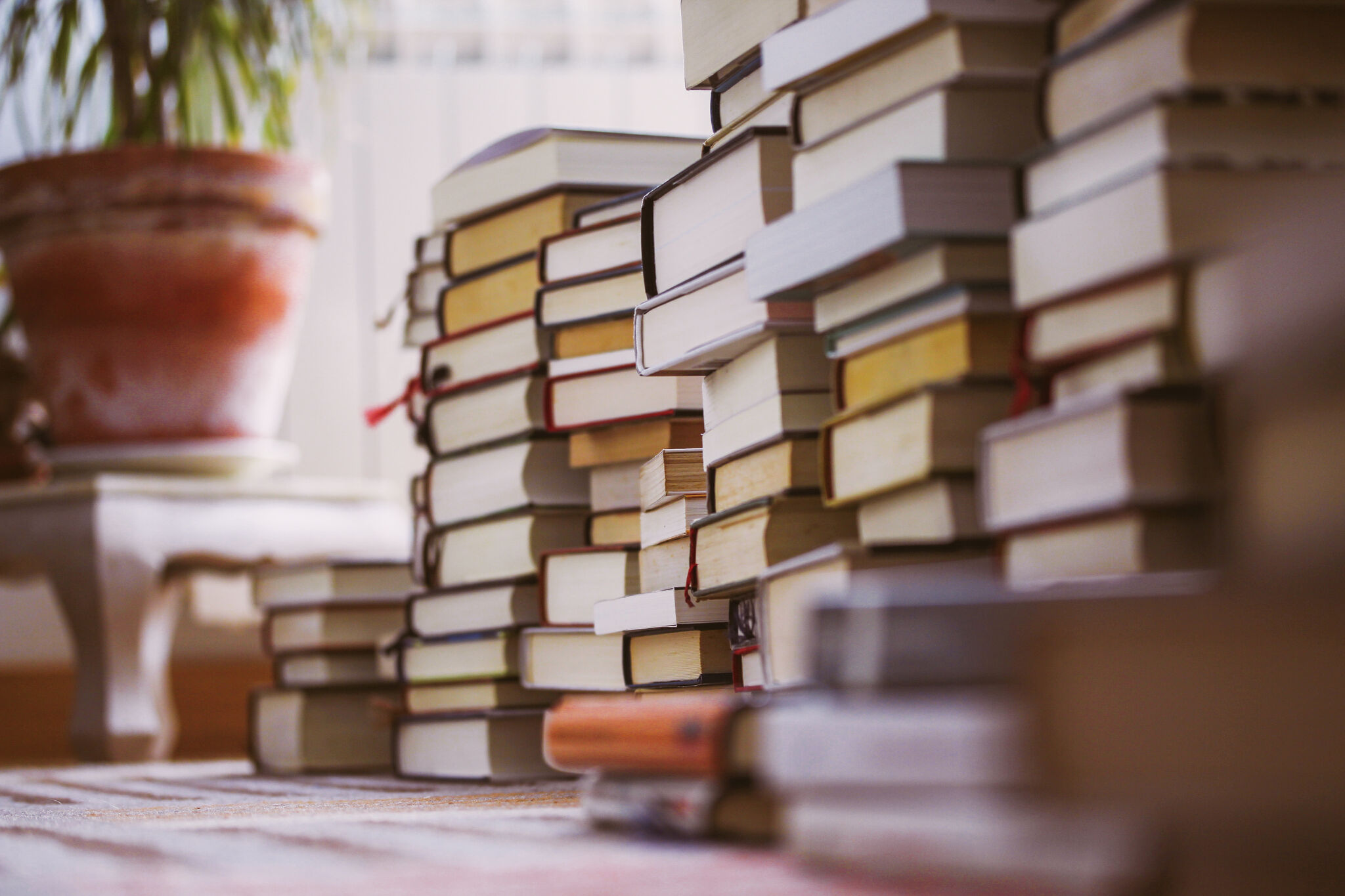 Spring cleaning includes book organization/donation, painfully - Vimarsana News