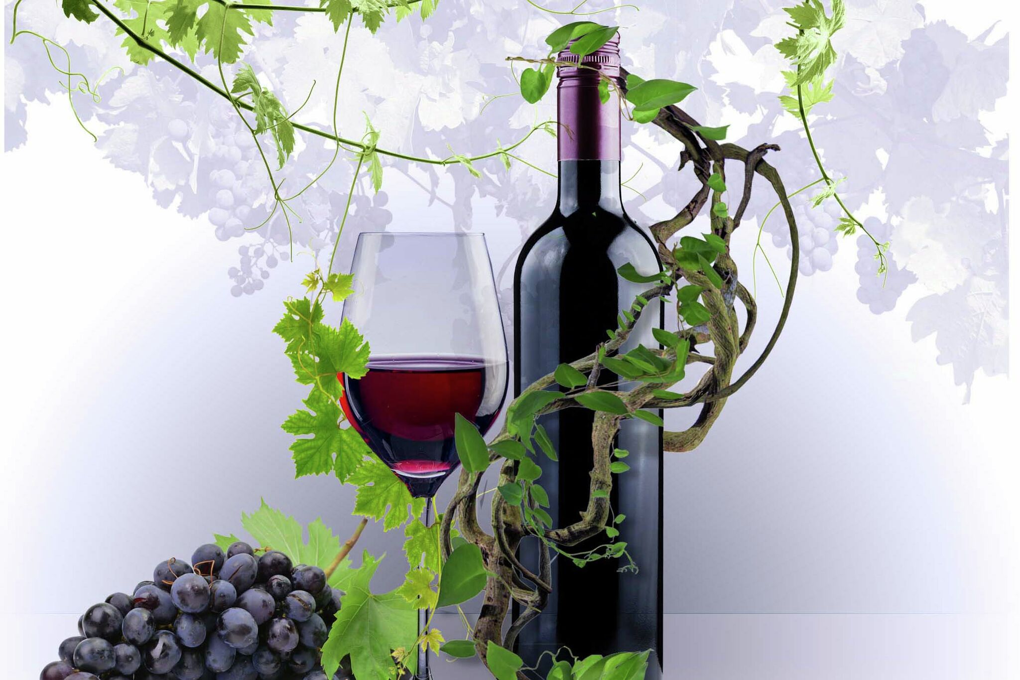 What are "natural" wines and where can you buy them in CT?