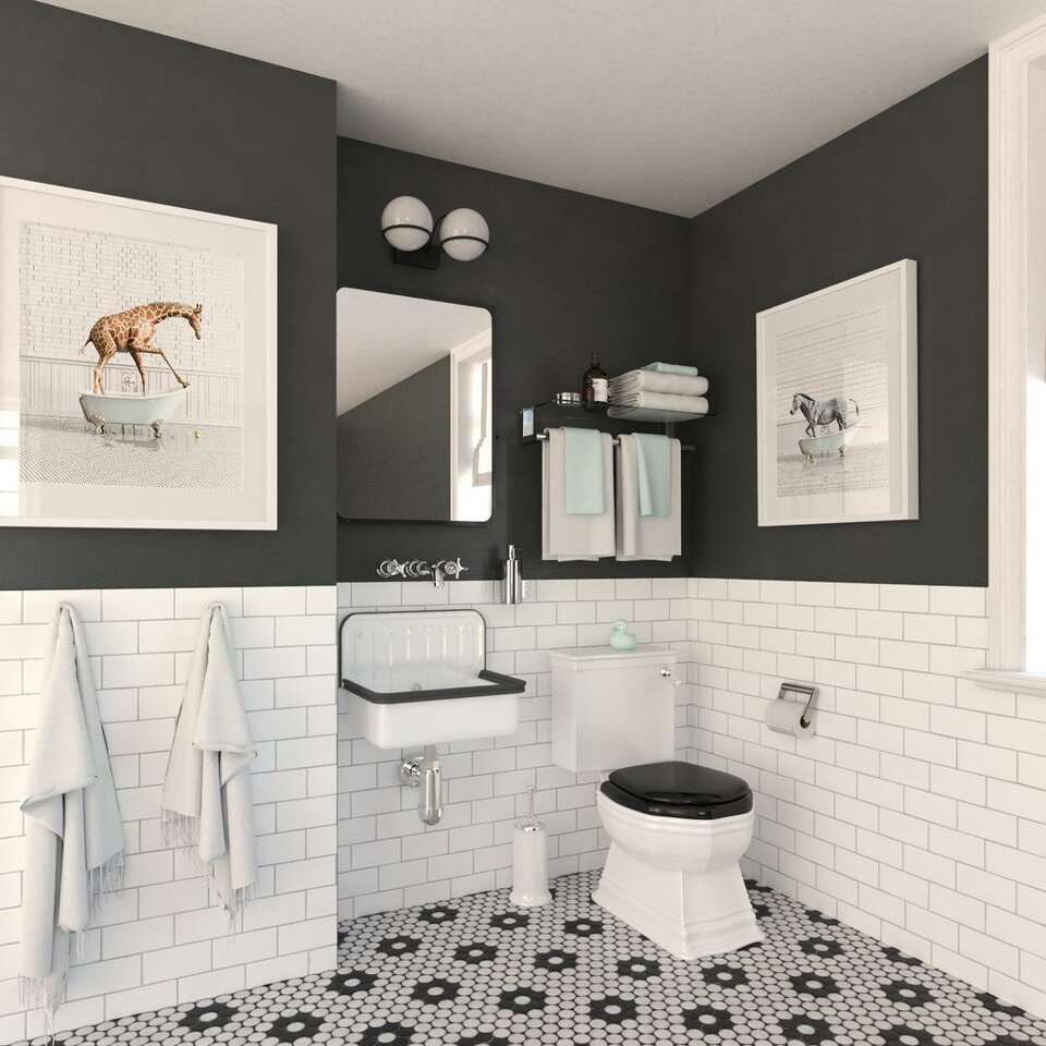 11 Black and White Bathroom Ideas