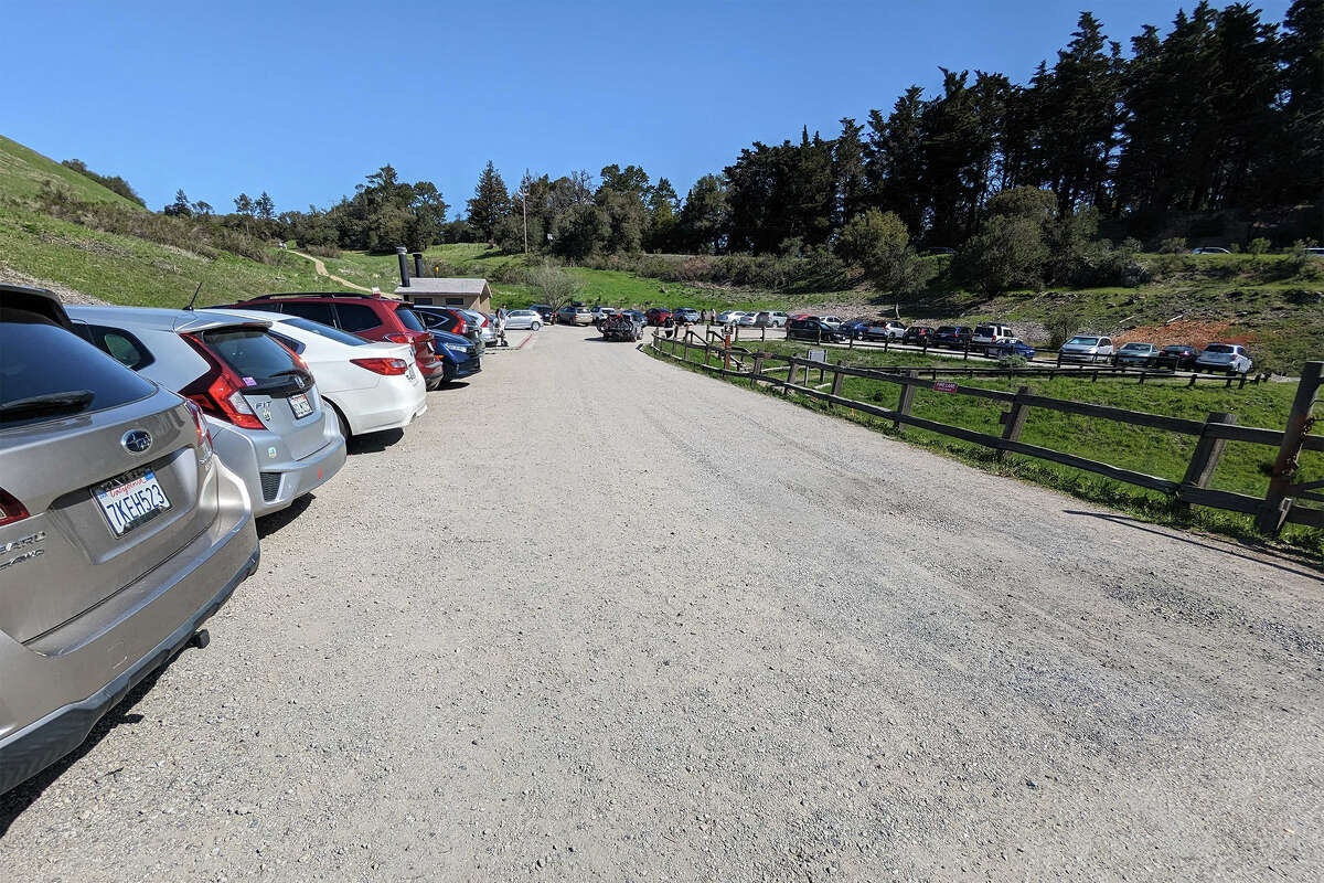 After arriving at the parking lot, I saw a hand-written sign below the lot’s trail map explaining that Russian Ridge isn’t quite at peak wildflower bloom.