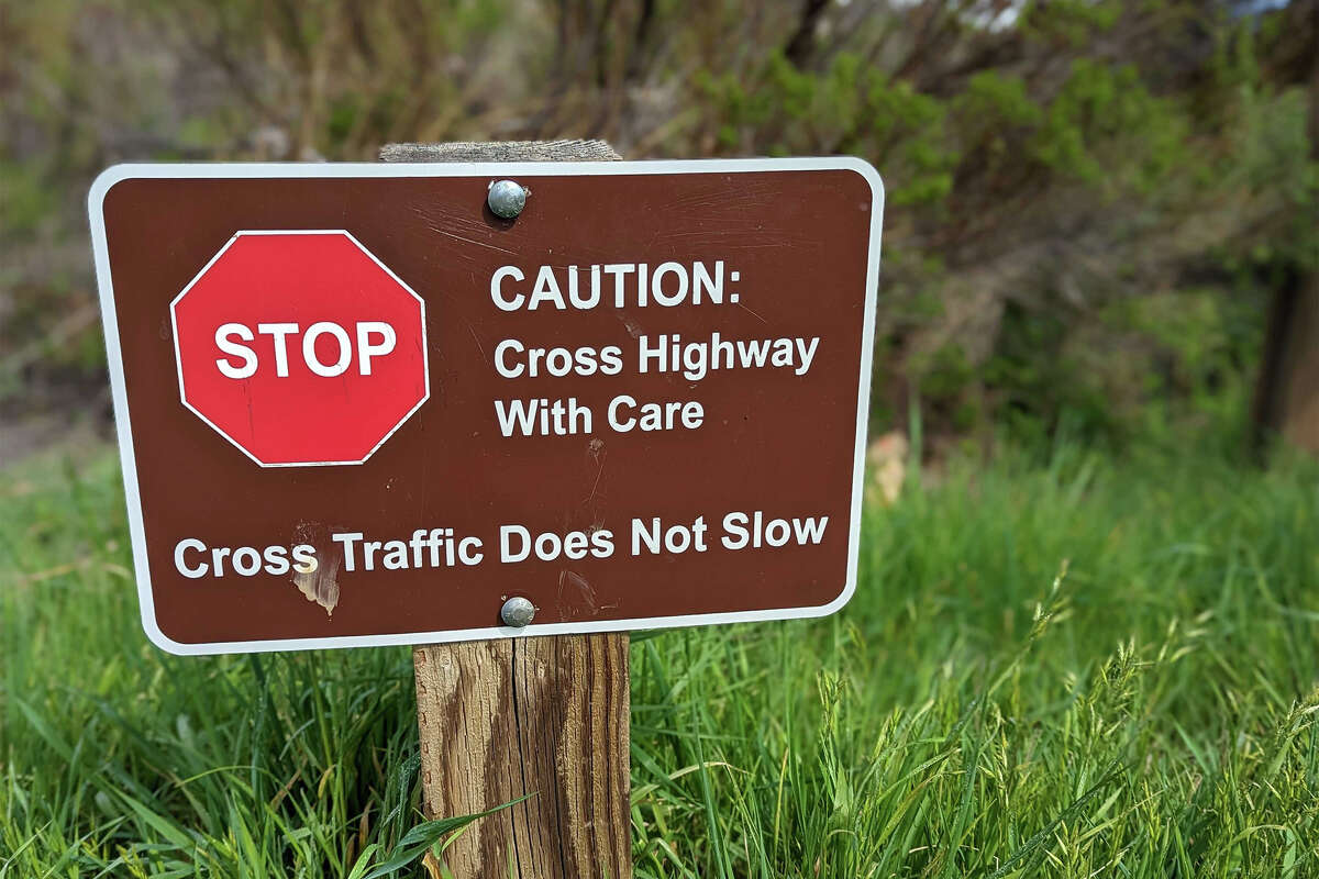 Playing what feels like a human game of "Frogger," those interested in the vista view must jaywalk across the busy Skyline Boulevard for a look. 