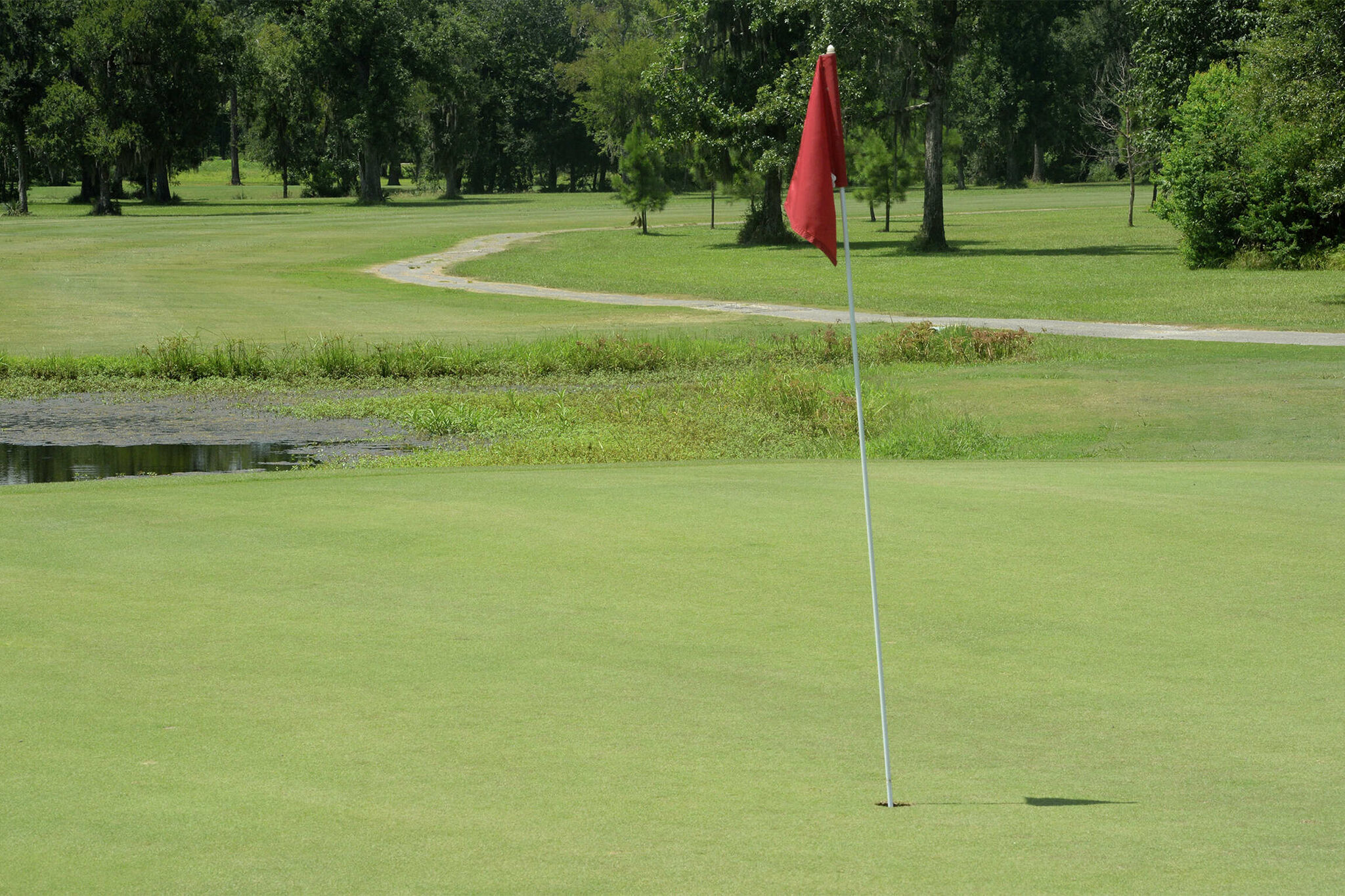 Finalists named for 2023 Babe Zaharias High School Junior Golf Awards