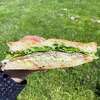 托斯卡尼三明治香肠,茴香和芝麻菜,从Bartavelle咖啡馆在伯克利。