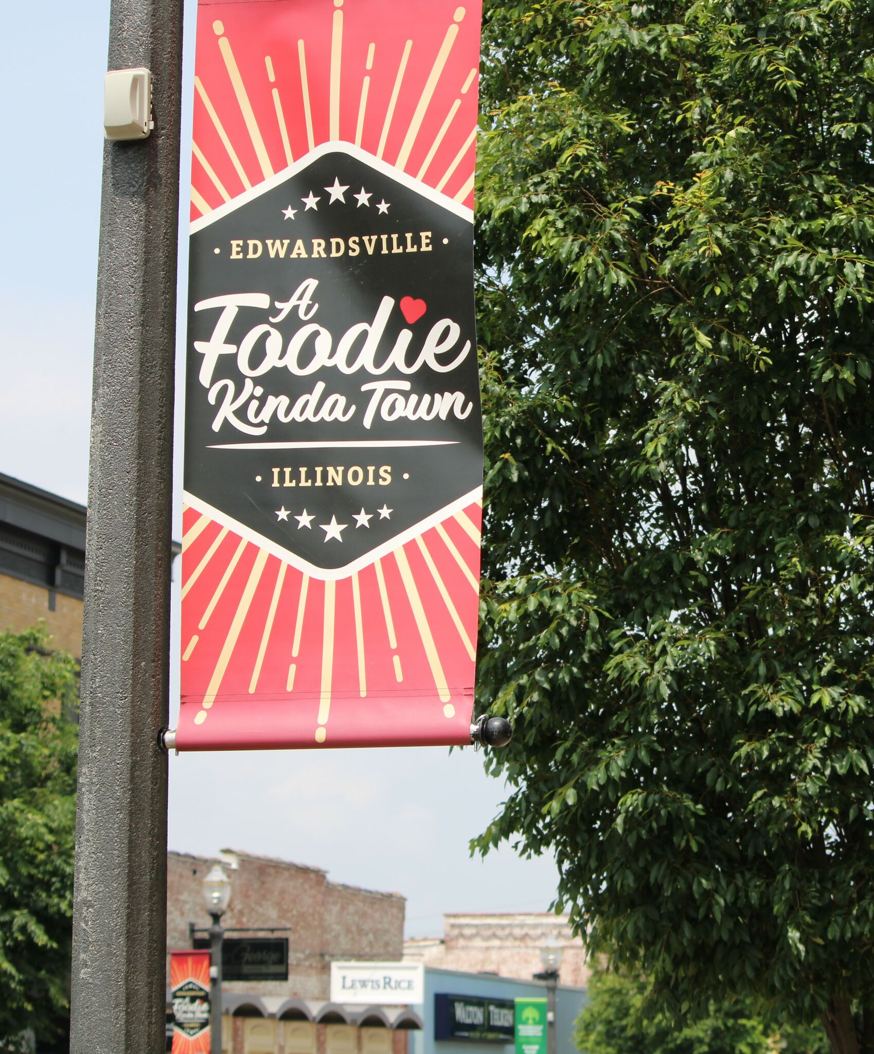 annual-taste-of-edwardsville-event-helps-edwardsville-neighbors