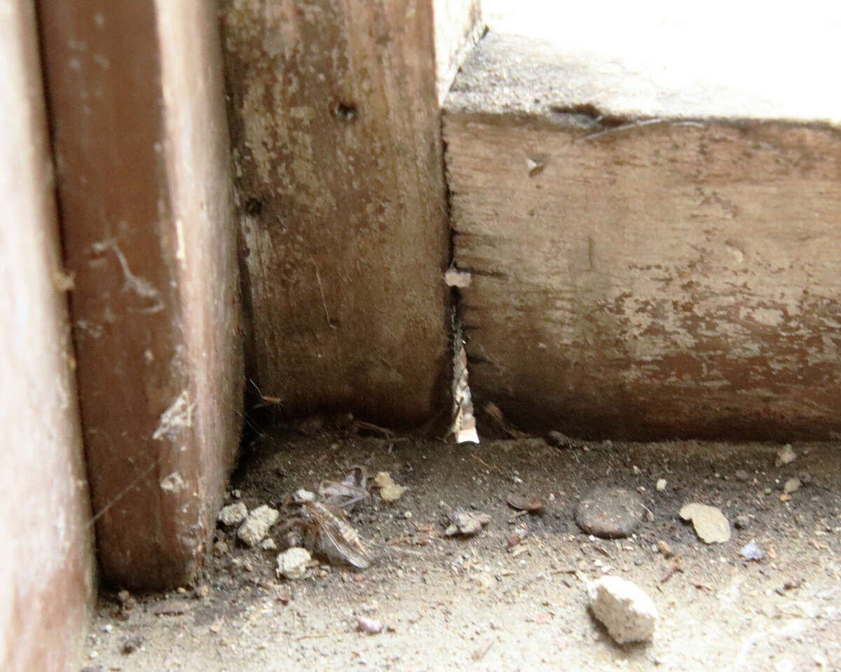 Help preserve Bad Axe historical log cabin village