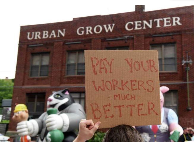 Troy's Capital Roots workers leave SEIU union amid rancor - Vimarsana News