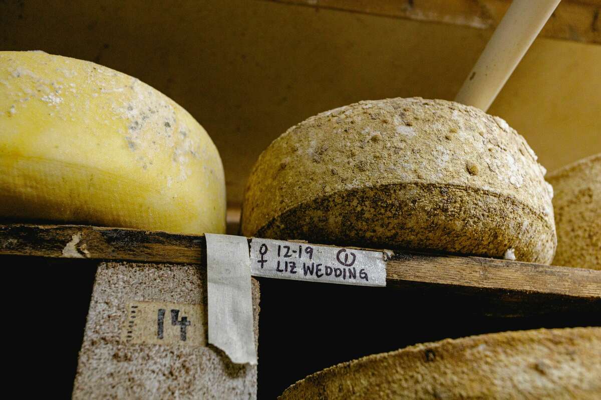 How CT farms and artisans are shaping the cheese-making scene