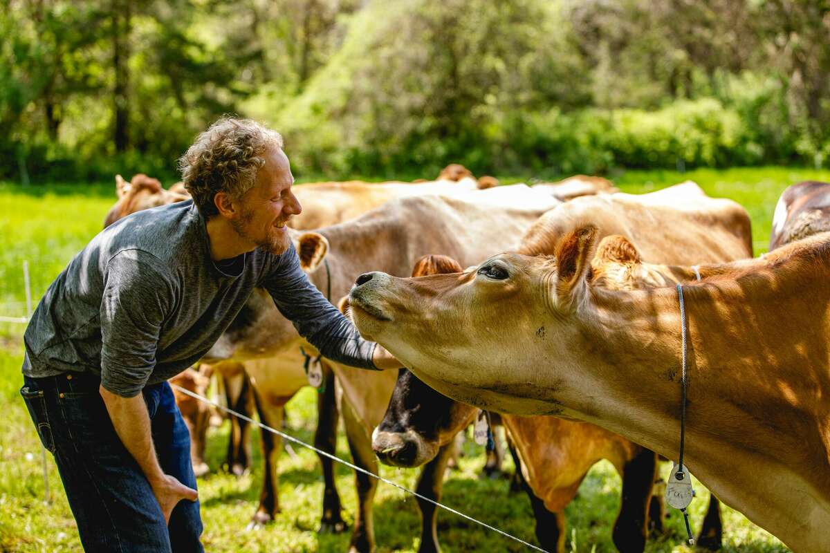 How CT farms and artisans are shaping the cheese-making scene