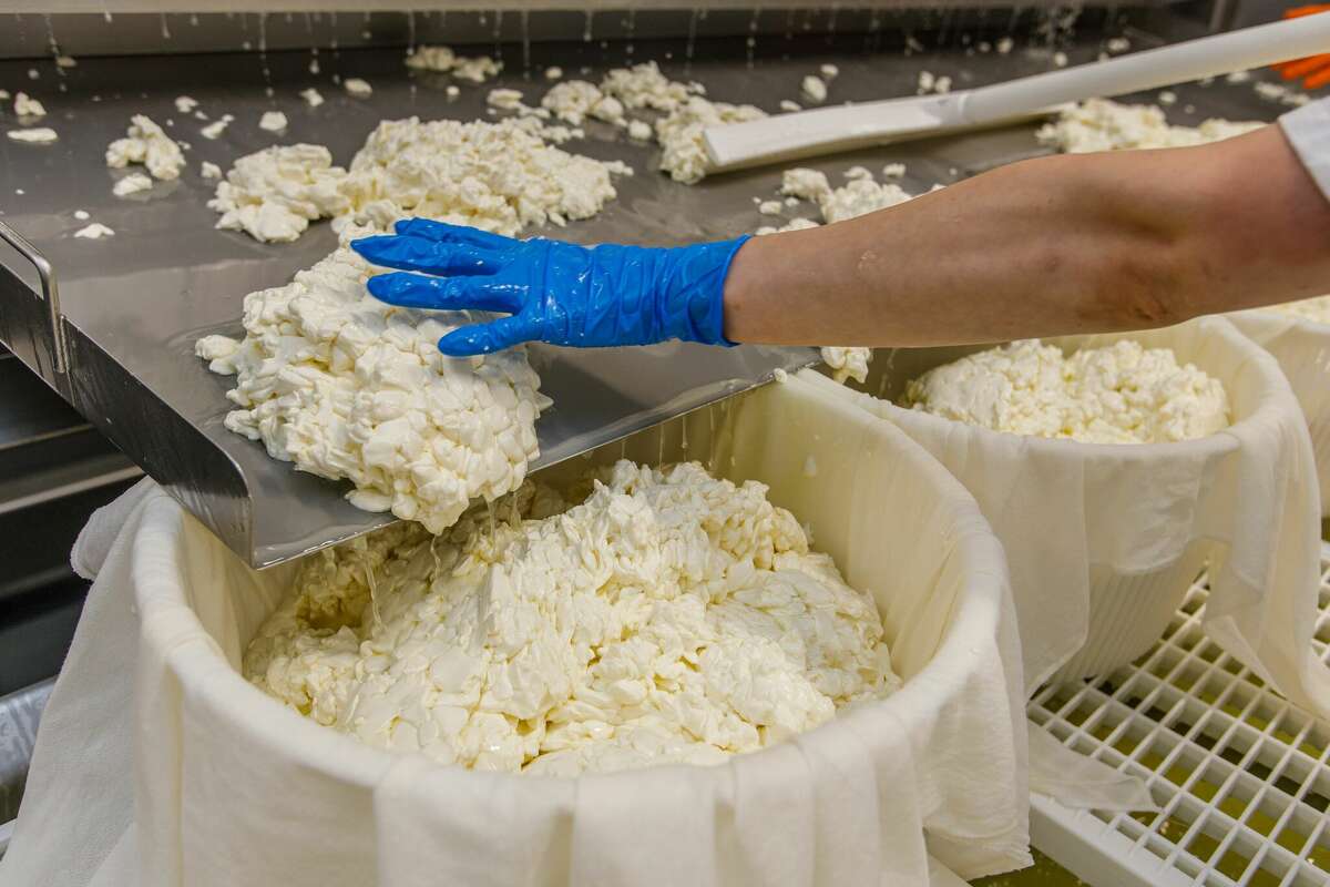 How CT farms and artisans are shaping the cheese-making scene