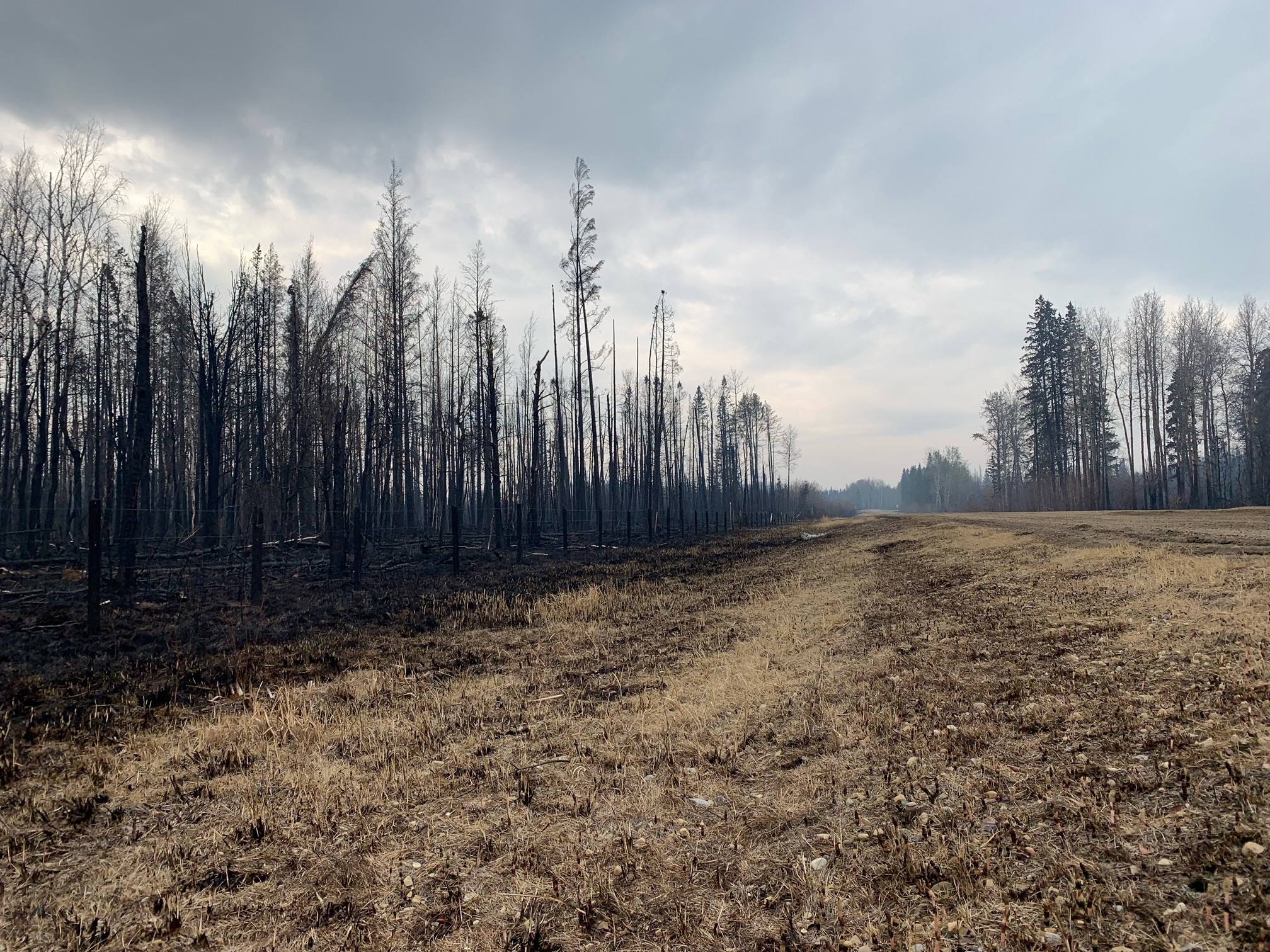 Wildfires in Canada have visible effect on Jacksonville area - Vimarsana News