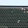 球场的球迷坐在第一行自己看奥克兰体育玩芝加哥小熊RingCentral竞技场4月19日,2023年,在加利福尼亚州的奥克兰。