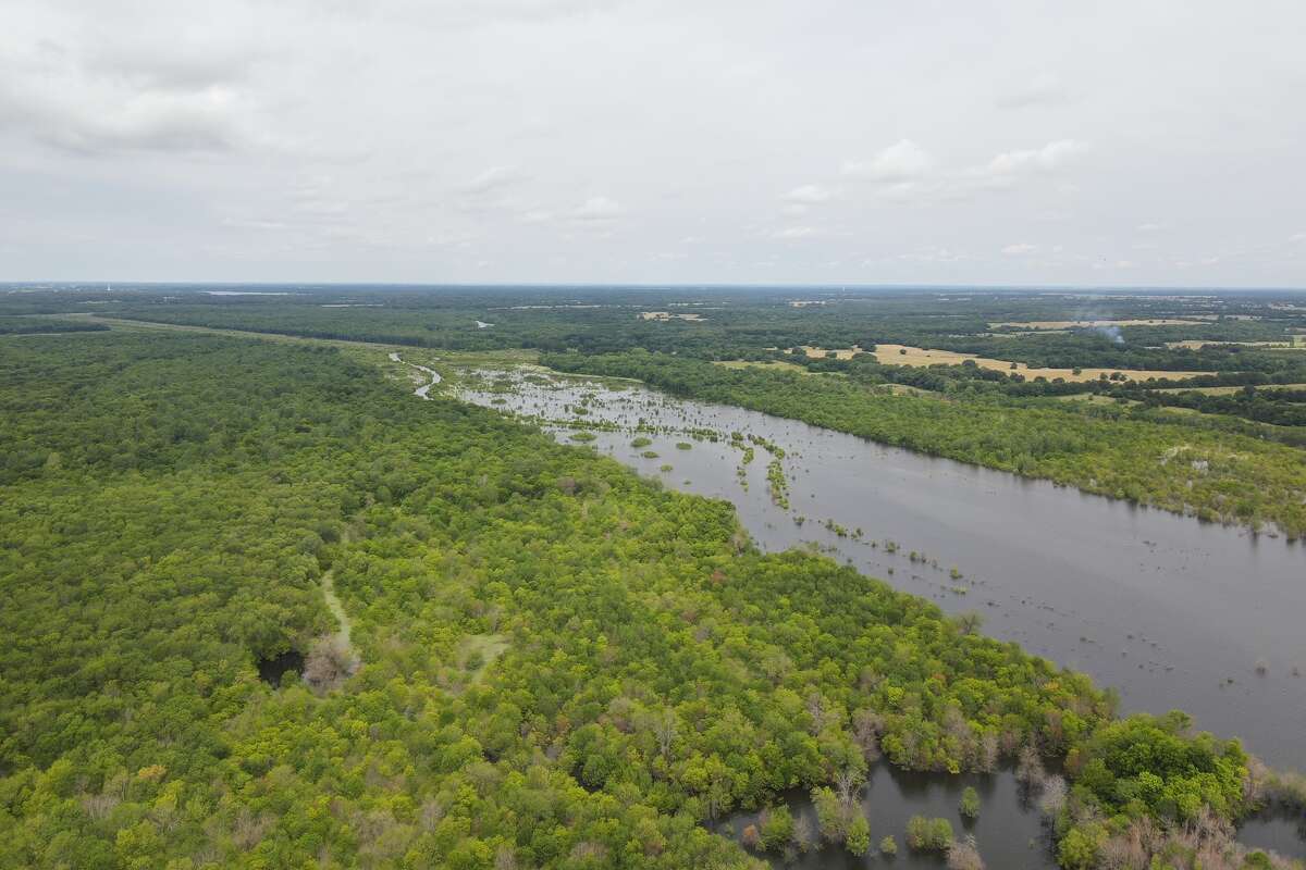 The upper reaches of 16,500 acre Bois d’Arc Lake in Fannin County should be a bass fishing mecca and a flipper’s paradise. Approximately 7,000 acres of flooded timber and brush was left untouched, except for a 3 1/2-mile long boat lane that spans about 1,000 feet across. 