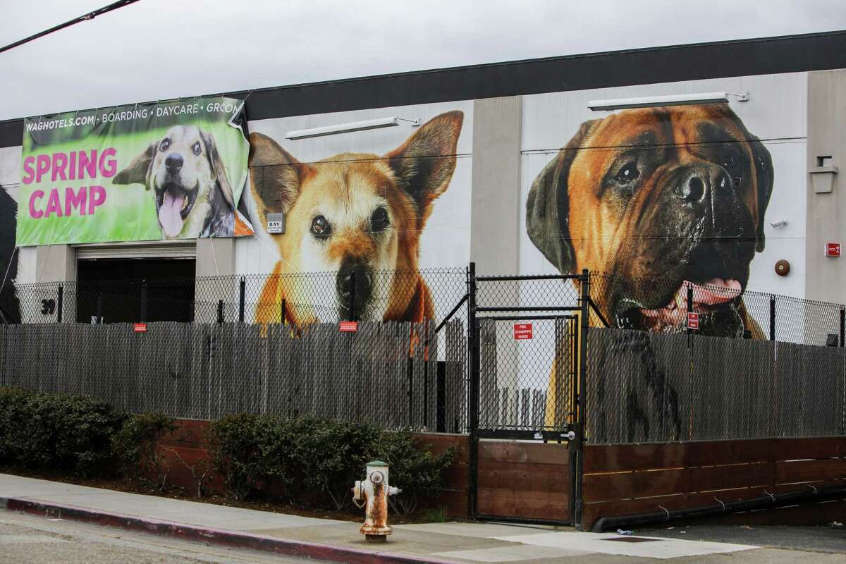 Images of dogs decorate the exterior of the Wag Hotels location in Oakland.