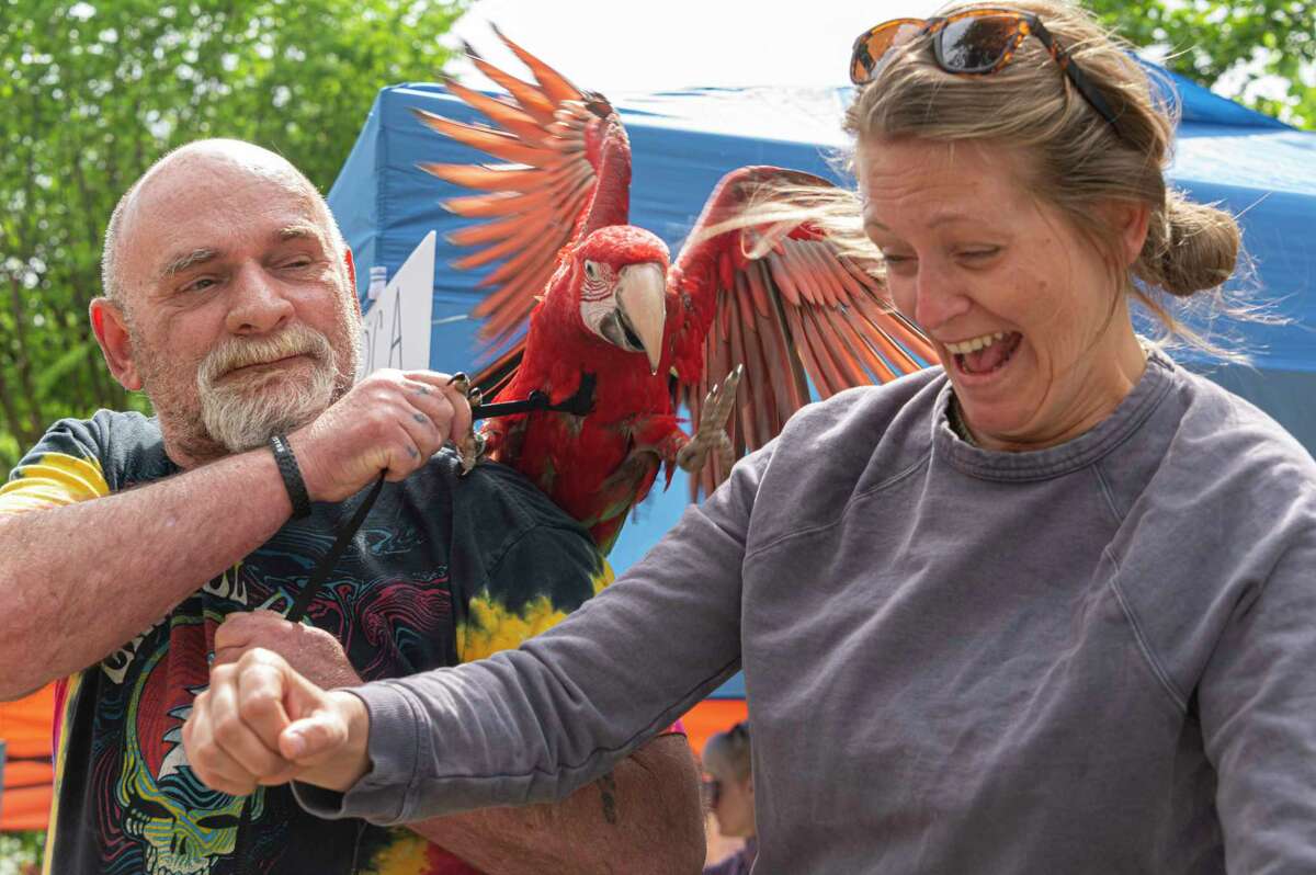 Photos Pets perfectly parade their proud paws