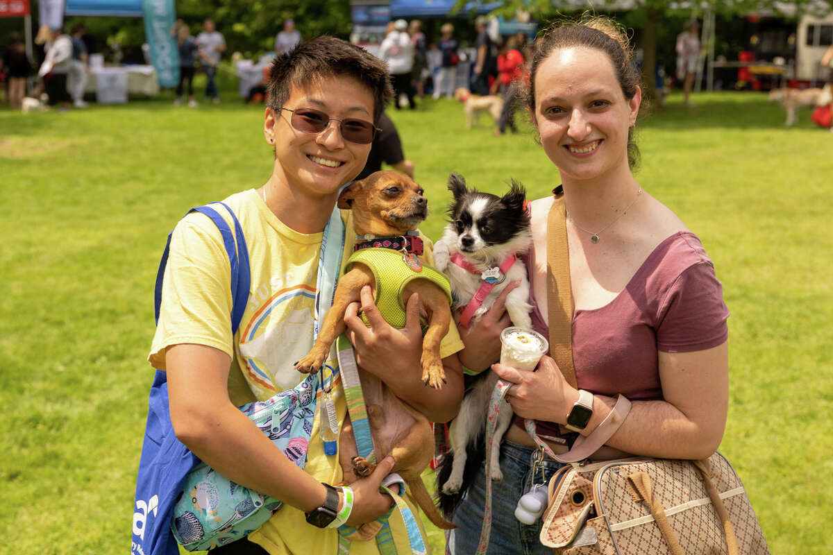 Dog Fun Festival