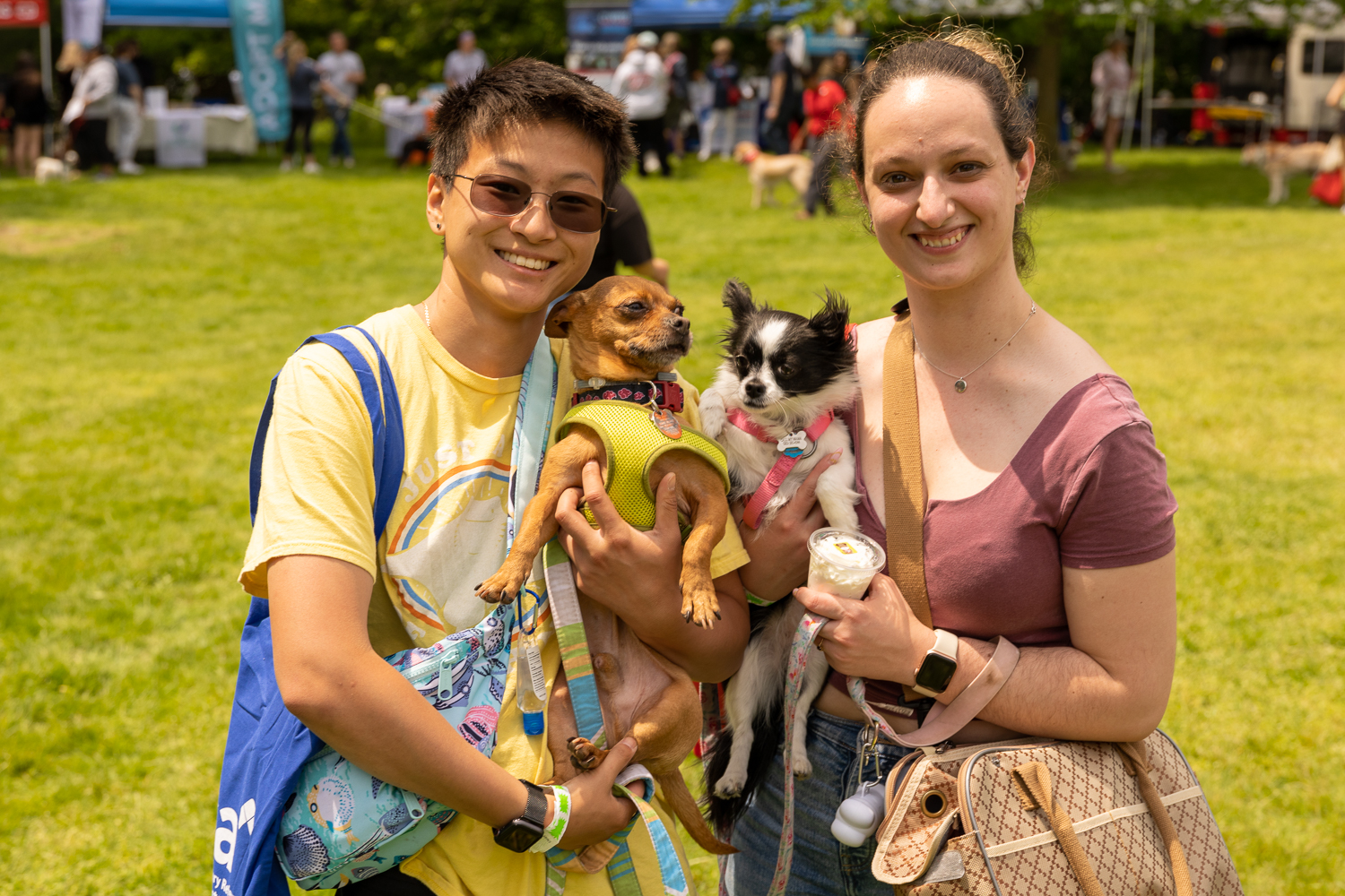 SEEN Westport Dog Festival 2023