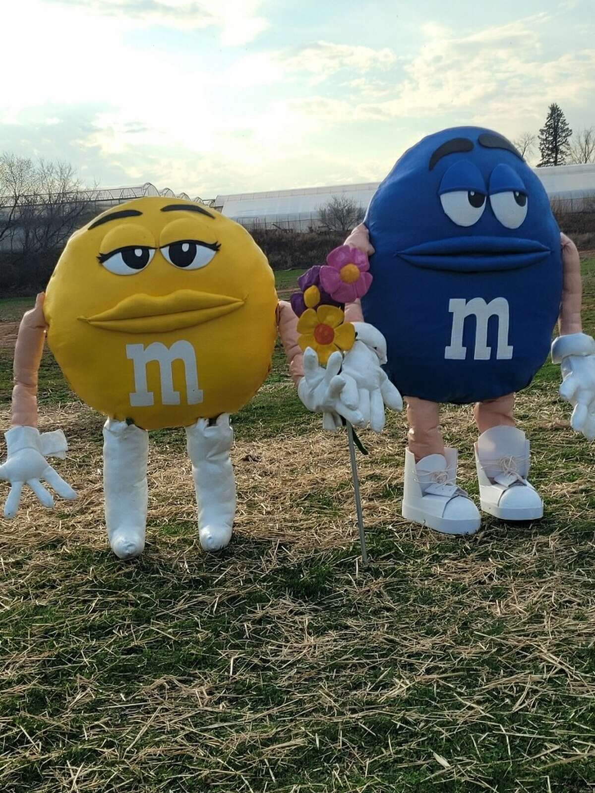 Yellow, 6-foot M&M stolen from Beaumont Farm in Wallingford
