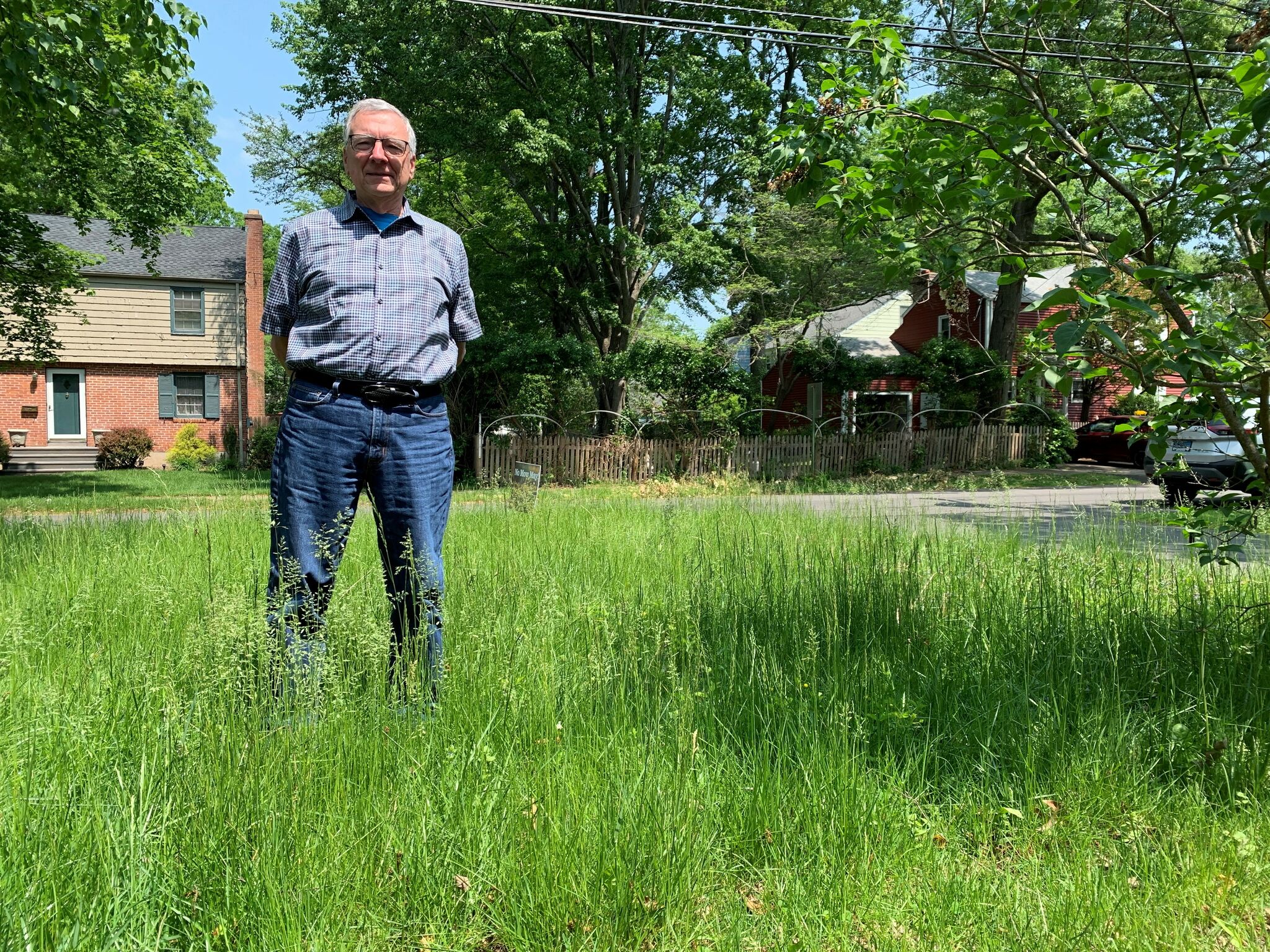 ct-man-taking-part-in-no-mow-may-now-facing-citation-from-town