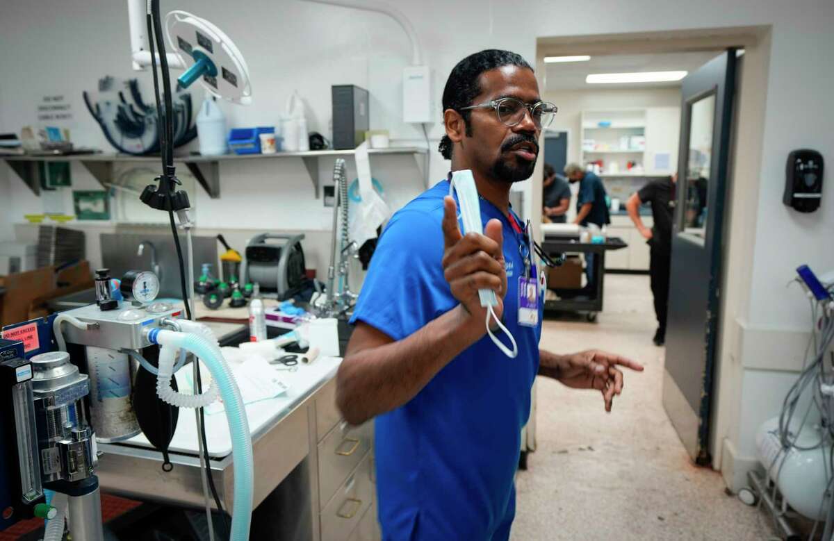 Houston veterinarian wins Shelter Vet of the Year animal care award