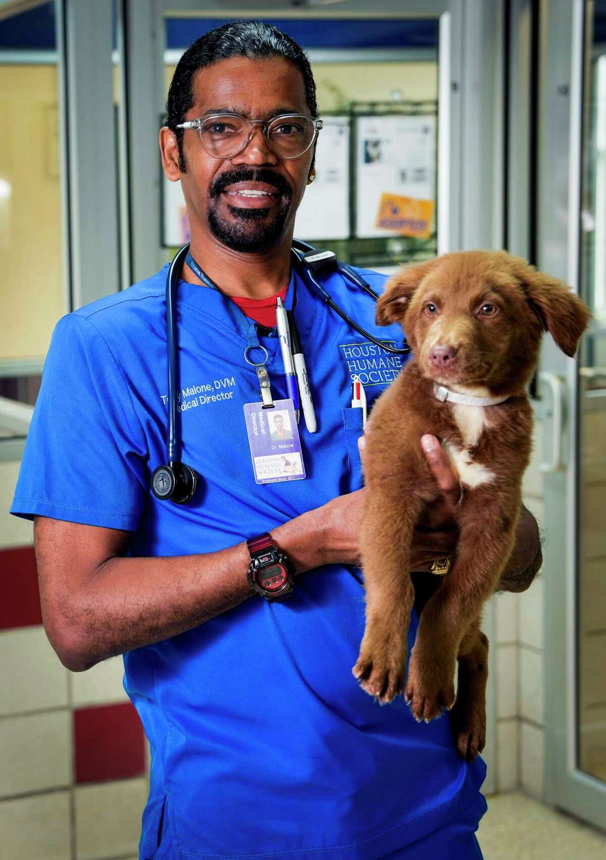 Houston veterinarian wins Shelter Vet of the Year animal care award