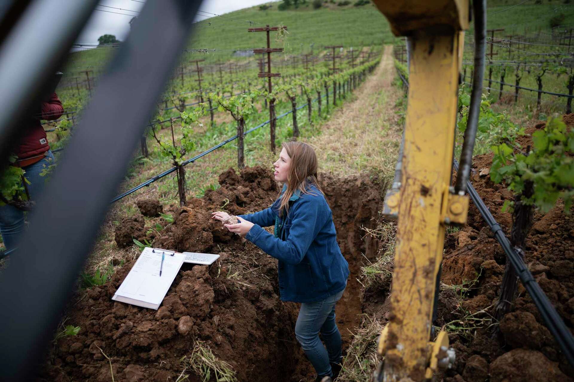 Why California wineries are obsessed with geologist Brenna Quigley