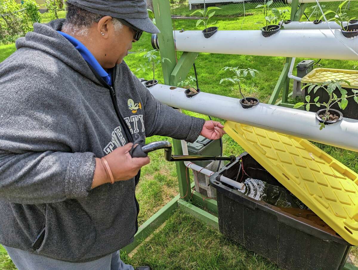 Retired teacher combats food insecurity with Hartford hydroponic farms