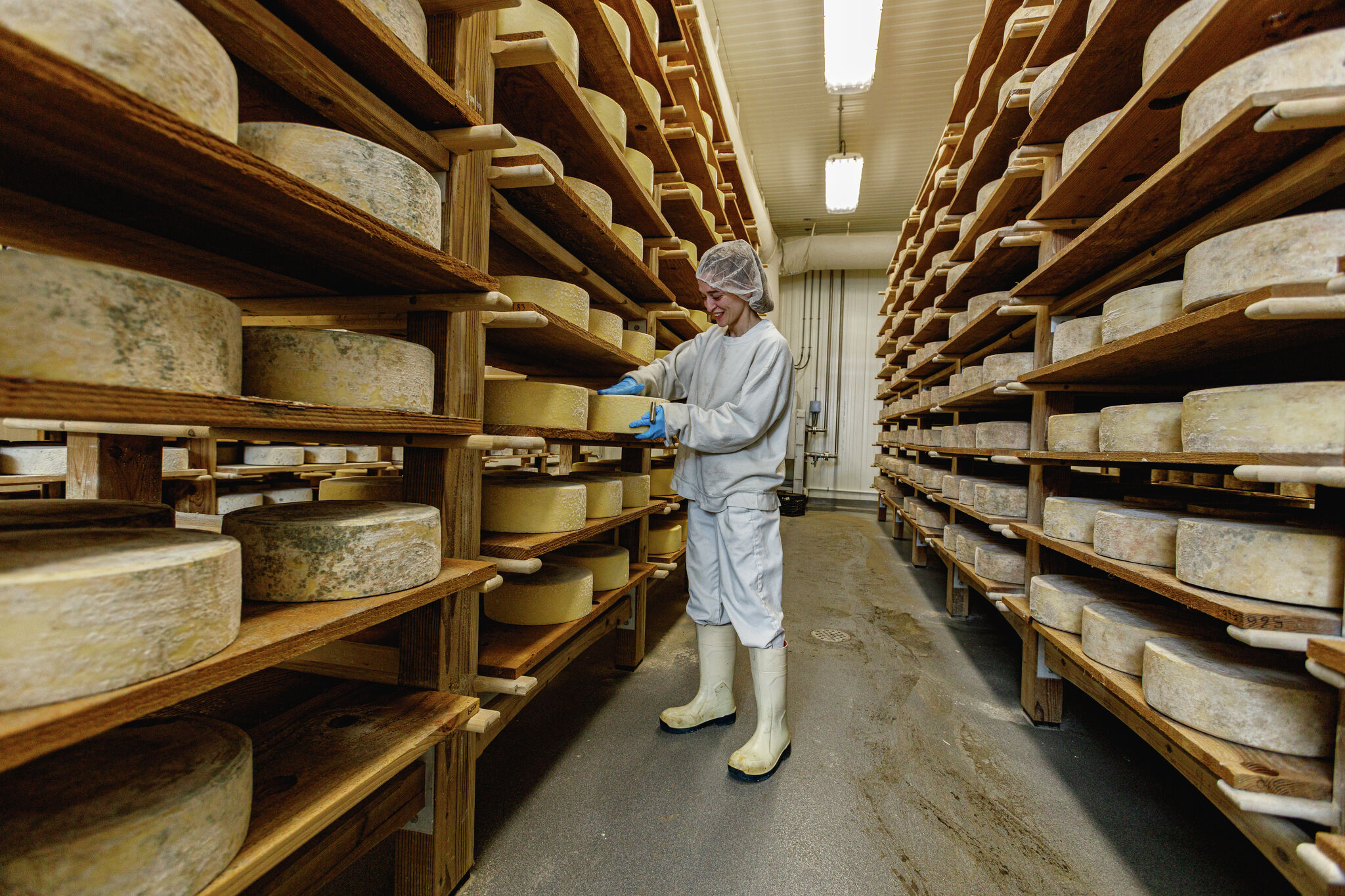 How CT farms and artisans are shaping the cheese-making scene