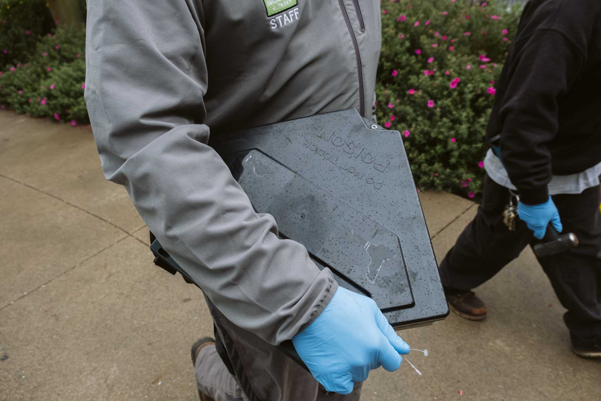 California regulators will reassess widely used rat poison