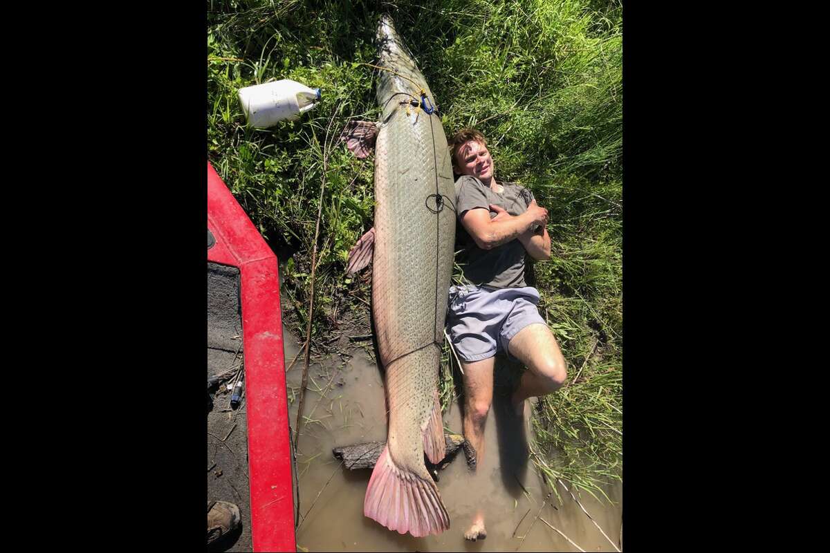 Texas angler reels in recordbreaking alligator gar in Corpus Christi