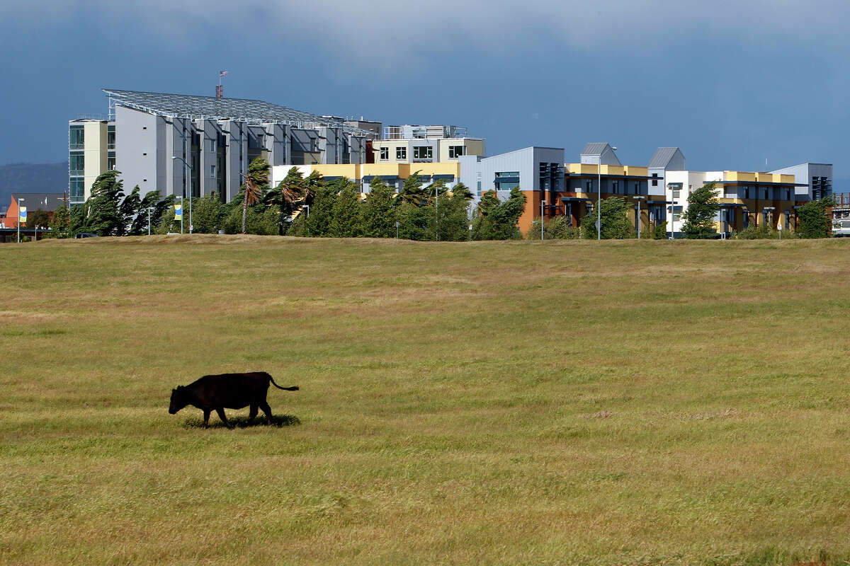 FILE: The UC Merced campus, in Merced, Calif., is mostly surrounded on all sides by farmland. 