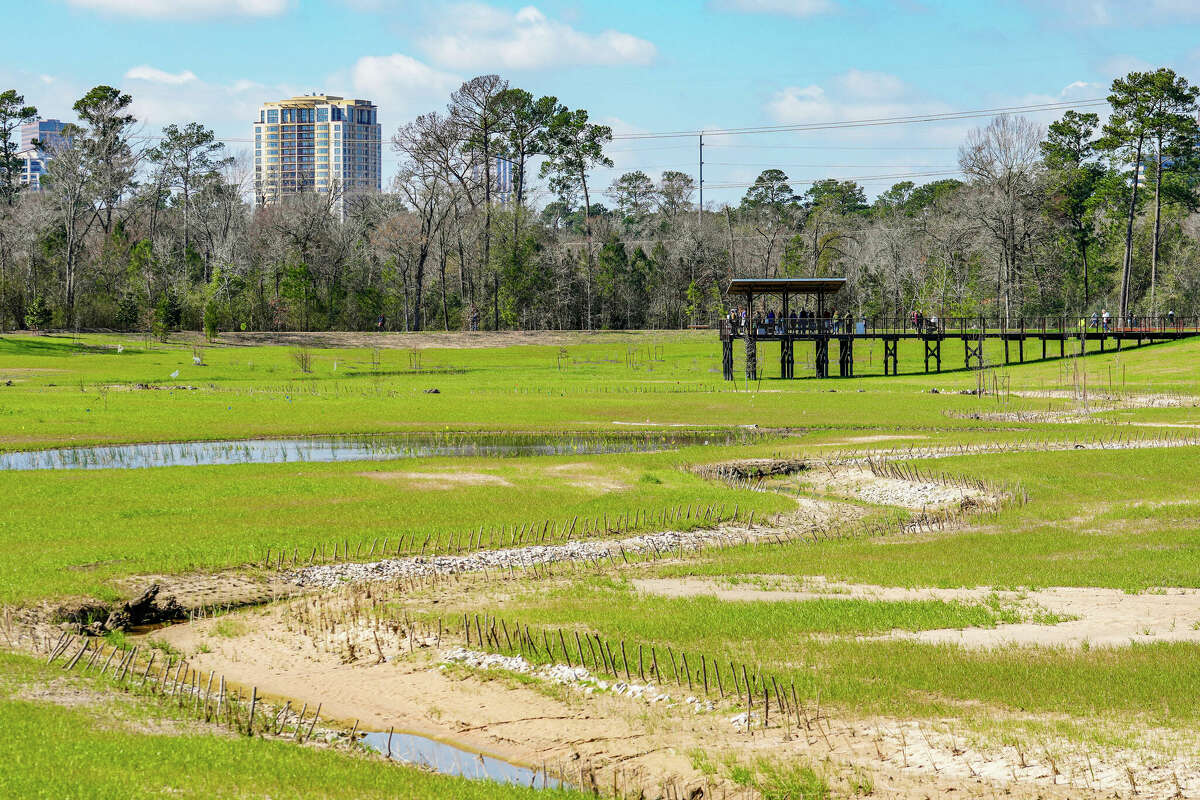 Exploring Houston - Memorial Park