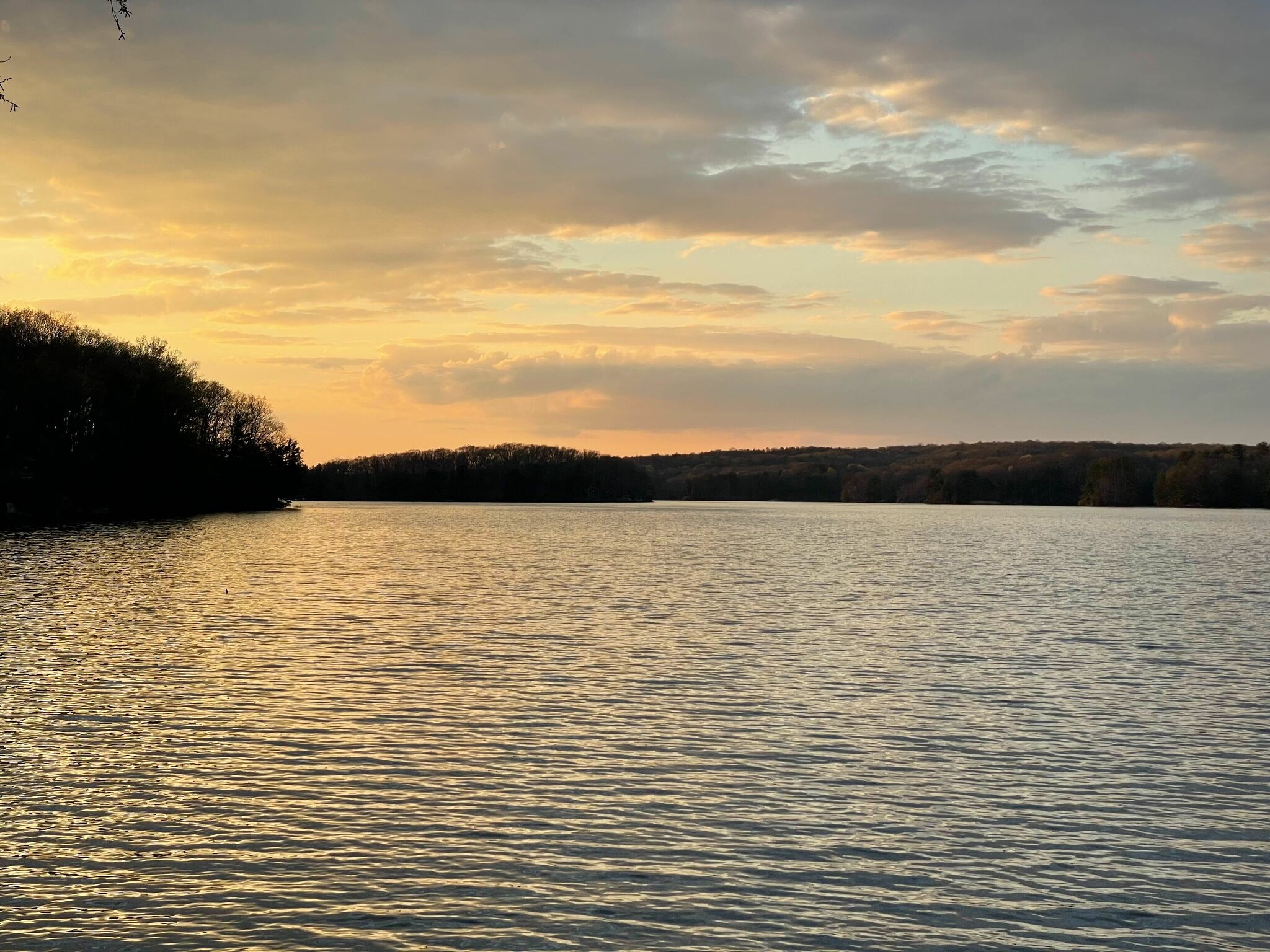Woman found dead in Saugatuck Reservoir in Weston, police say