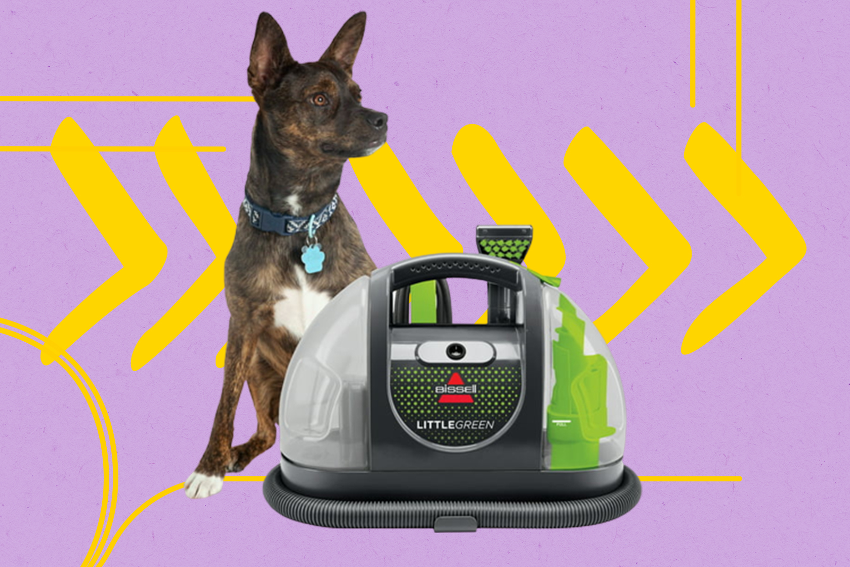 Bissell bark shop bath walmart